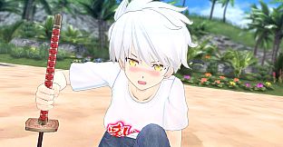 SENRAN KAGURA ESTIVAL VERSUS - Summer Freedom Pack