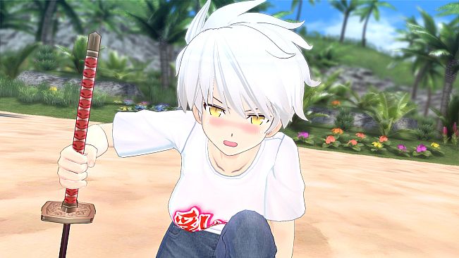 SENRAN KAGURA ESTIVAL VERSUS - Summer Freedom Pack