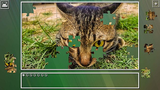 Super Jigsaw Puzzle: Generations - Cats Puzzles