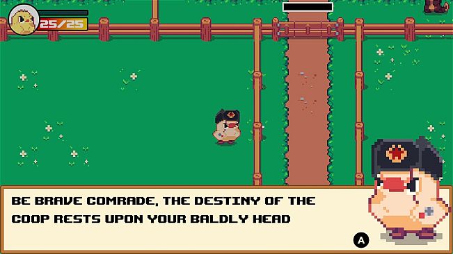 Why Did The Chicken Cross The Road?