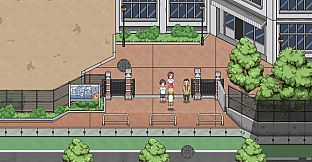 星星落下的夜晚