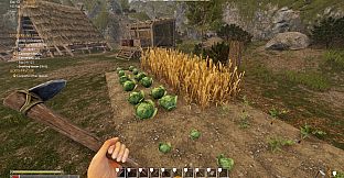 Viking Frontiers