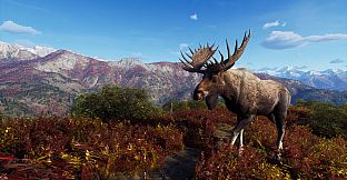 Way of the Hunter - Aurora Shores