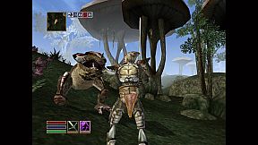 The Elder Scrolls III: Morrowind