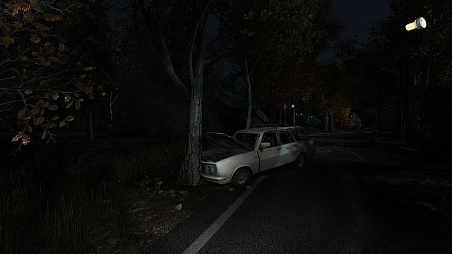 The Secret of Pineview Forest