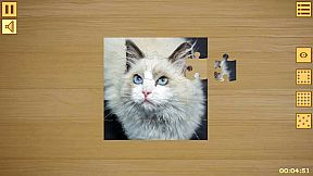 Jigsaw Puzzles