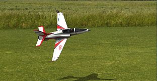 RealFlight Evolution