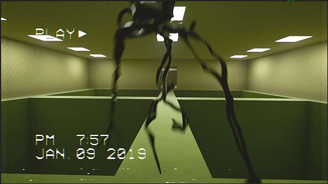 The Backrooms Footage