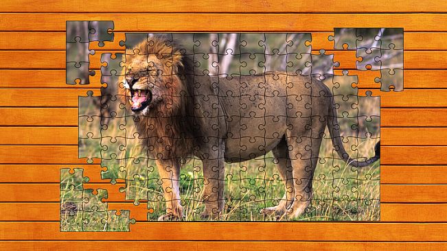 Big Cat Jigsaw Quest - Expansion Pack 2