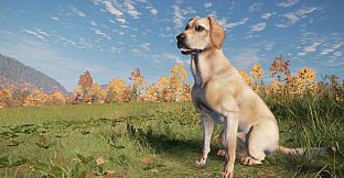 theHunter: Call of the Wild - Labrador Retriever - Windows 10