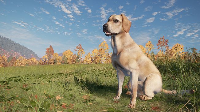 theHunter: Call of the Wild - Labrador Retriever - Windows 10