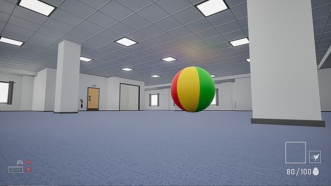 A Chicken In The Office