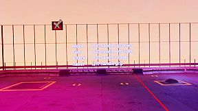 Claw Clash: Cat vs Dog Betting