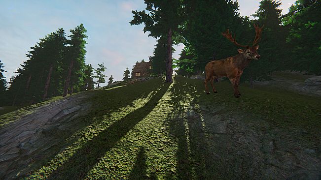 Nucleares - Island Fauna
