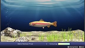 Reel Fishing: Days of Summer