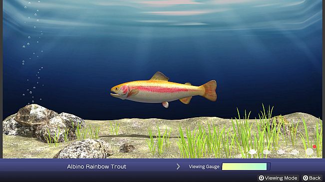 Reel Fishing: Days of Summer