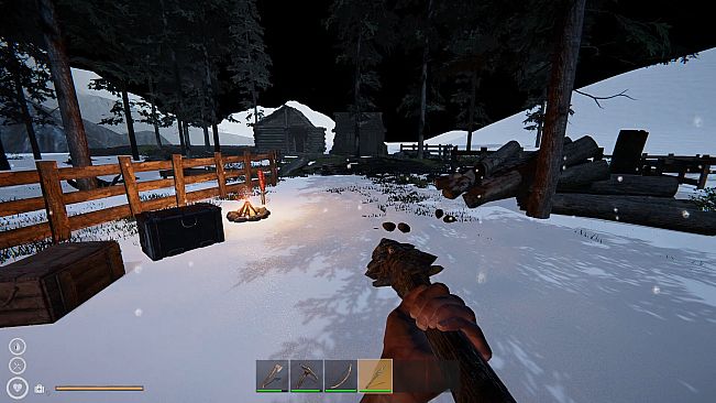 Alaska Survival
