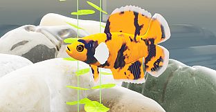 Fish Game - Betta Fish Pack 1