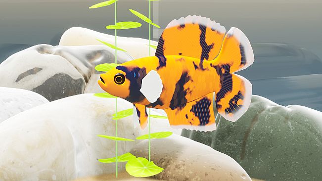 Fish Game - Betta Fish Pack 1