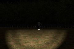 The Home: Into The Woods