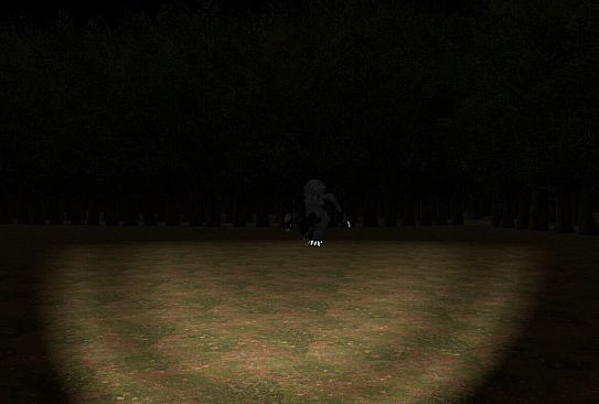 The Home: Into The Woods