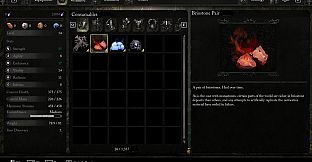 Lords of the Fallen - Starting Boost