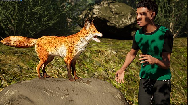 The Fox, The Forest & The Darkness