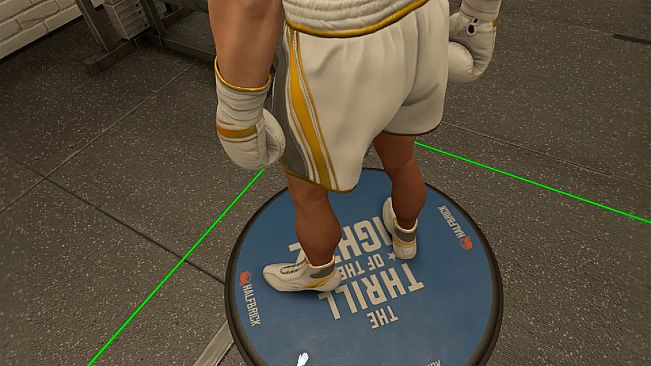 The Thrill Of The Fight 2 - Reigning Champion Shoes