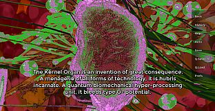 Laments of a Platinum Rose