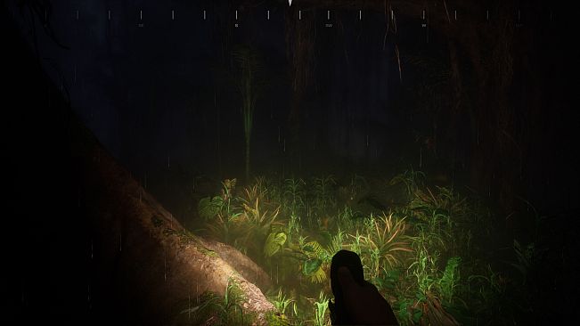 Saci: The Cursed Hunt