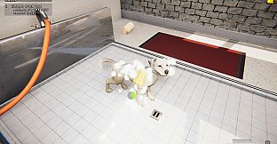 Animal Shelter: Prologue