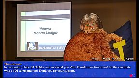 Cat President: A More Purrfect Union