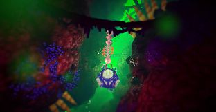 Into the Belly of the Beast