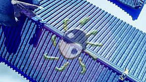 僵尸联盟League of Zombies