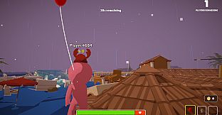 DISASTERS