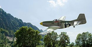 RealFlight Evolution – E-flite P-51D Mustang 1.0m