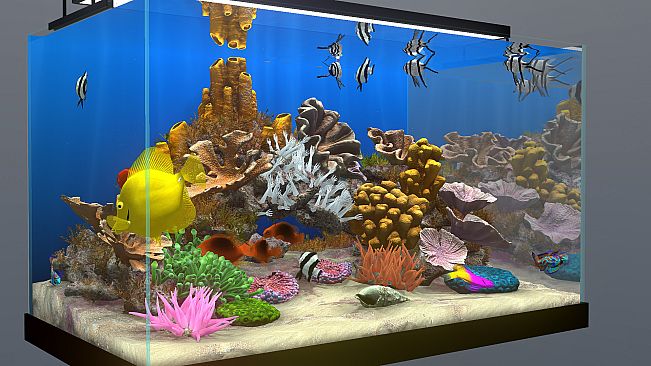 Behind Glass: Aquarium Simulator