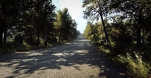 DiRT Rally 2.0 - Germany (Rally Location)