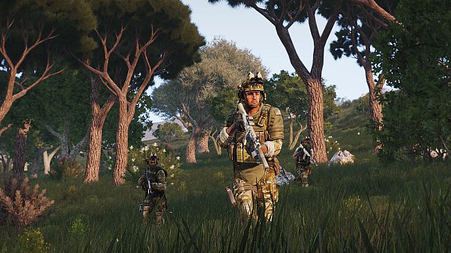 Arma 3 Malden