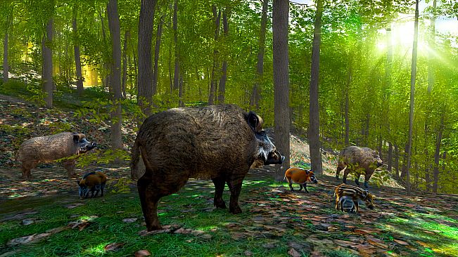 Wild Hunter: Sniper Rifle Adventures Simulator