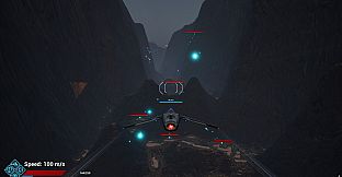 Directive: Intercept