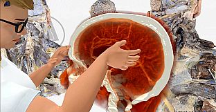 MEDICALHOLODECK. Surgery, Anatomy, Medicine, Education, and DICOM Imaging in VR. For Medical Students, Nurses, Doctors and Surgeons.