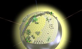 Hexaverse
