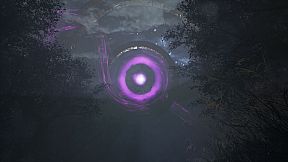 THE MULLER-POWELL PRINCIPLE