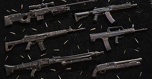 Insurgency: Sandstorm - Crisis Set Bundle
