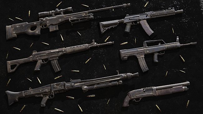 Insurgency: Sandstorm - Crisis Set Bundle