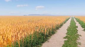 Etelä-Pohjanmaa Experience