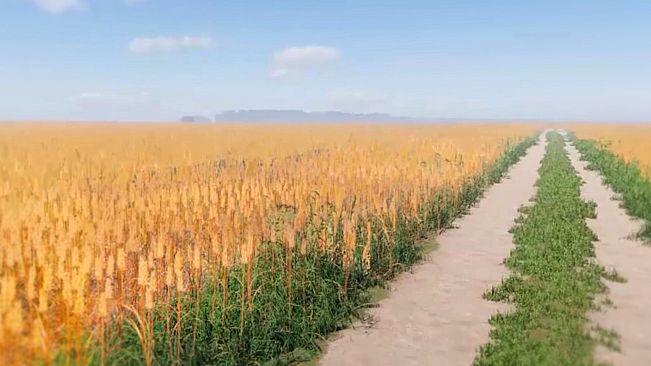 Etelä-Pohjanmaa Experience