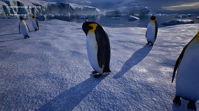 Life of a Penguin