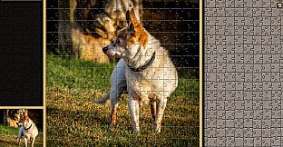Pixel Puzzles Traditional Jigsaws Pack: Chihuahuas